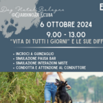 La vita di tutti i giorni