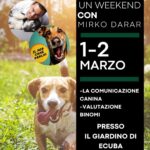Un Weekand con Mirko Darar 1-2 Marzo 2025