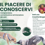 “Il Piacere di Conoscersi”